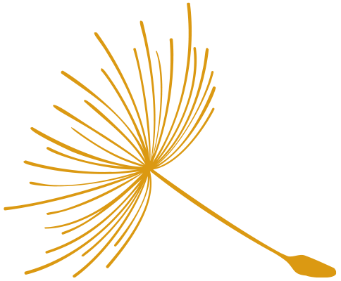 Lucie-logo-paardepluis-enkel-d.geel